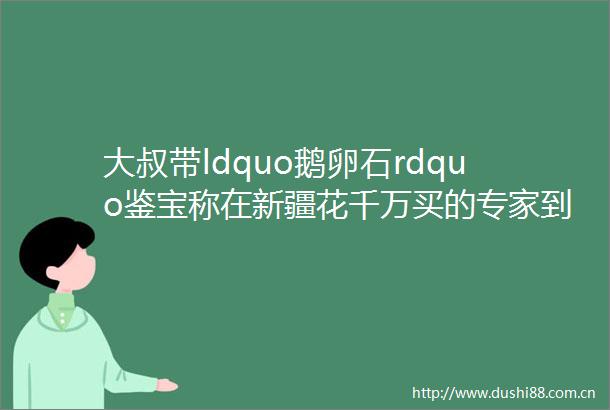 大叔带ldquo鹅卵石rdquo鉴宝称在新疆花千万买的专家到底来干啥的