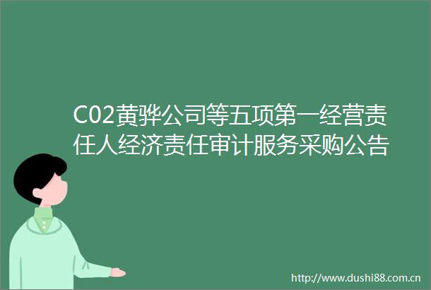 C02黄骅公司等五项第一经营责任人经济责任审计服务采购公告
