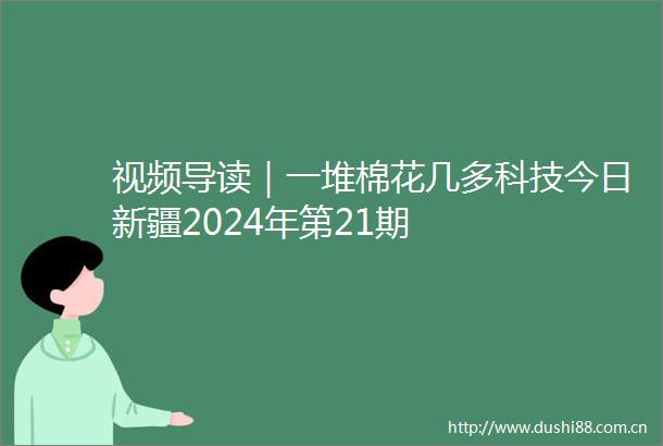 视频导读｜一堆棉花几多科技今日新疆2024年第21期