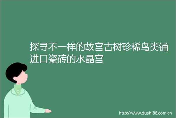探寻不一样的故宫古树珍稀鸟类铺进口瓷砖的水晶宫