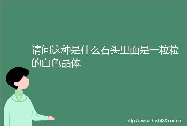 请问这种是什么石头里面是一粒粒的白色晶体