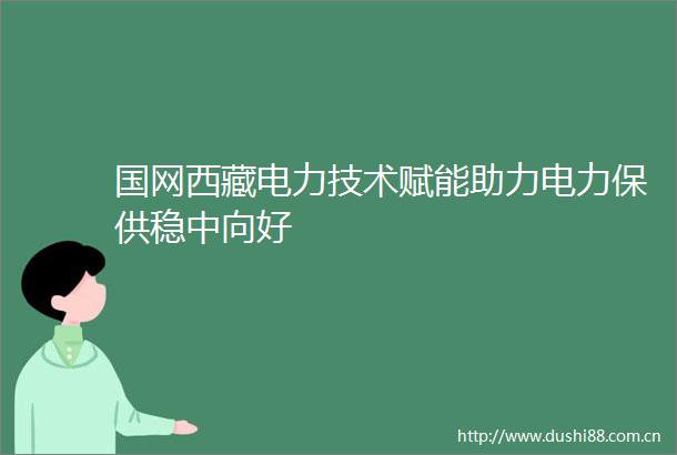 国网西藏电力技术赋能助力电力保供稳中向好