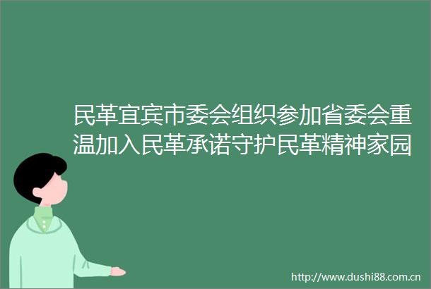 民革宜宾市委会组织参加省委会重温加入民革承诺守护民革精神家园专项活动阶段性总结会议