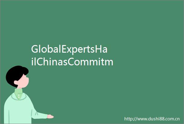 GlobalExpertsHailChinasCommitmenttoPreservingTibetanMedicine
