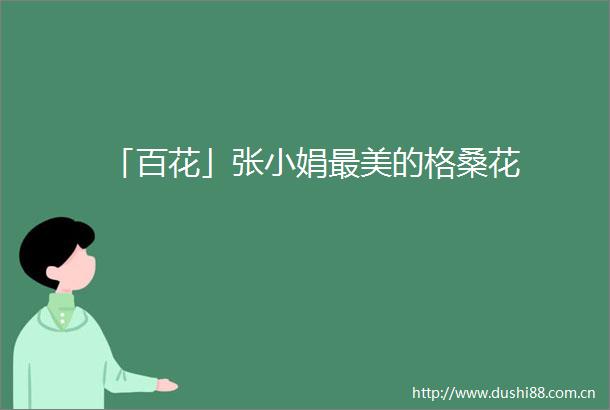 「百花」张小娟最美的格桑花