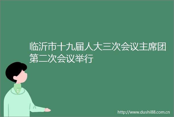 临沂市十九届人大三次会议团第二次会议举行