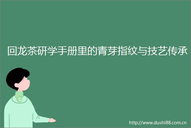 回龙茶研学手册里的青芽指纹与技艺传承