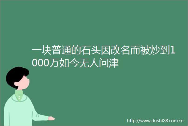 一块普通的石头因改名而被炒到1000万如今无人问津