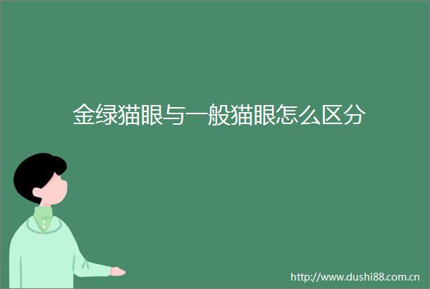 金绿猫眼与一般猫眼怎么区分