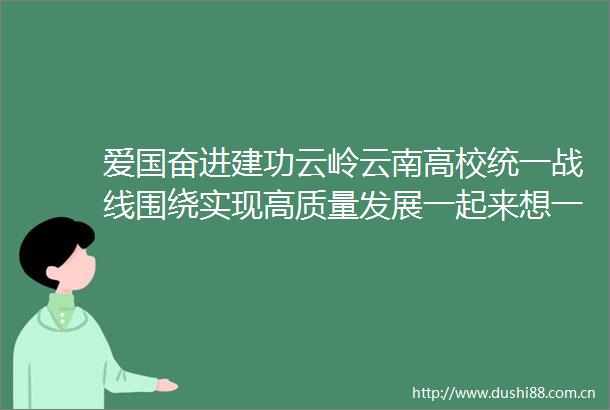 爱国奋进建功云岭云南高校统一战线围绕实现高质量发展一起来想一起来干