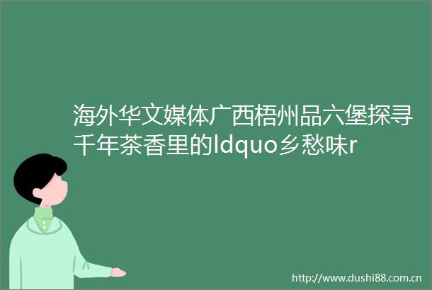 海外华文媒体广西梧州品六堡探寻千年茶香里的ldquo乡愁味rdquo