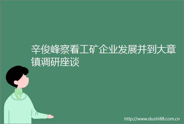 辛俊峰察看工矿企业发展并到大章镇调研座谈