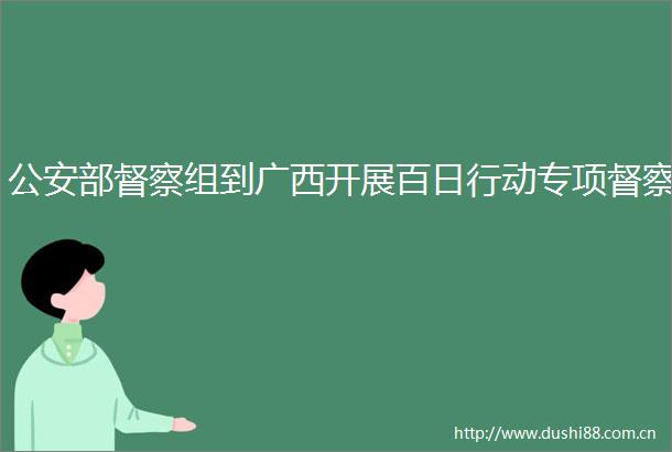 部督察组到广西开展百日行动专项督察