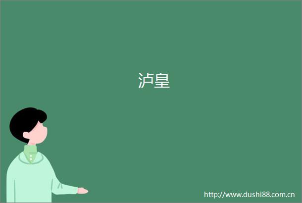 泸皇