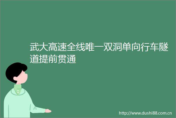 武大高速全线唯一双洞单向行车隧道提前贯通