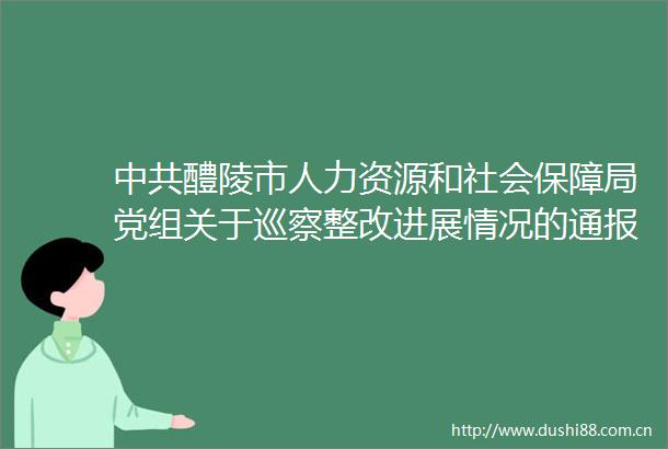 醴陵市人力资源和社会保障局党组关于巡察整改进展情况的通报
