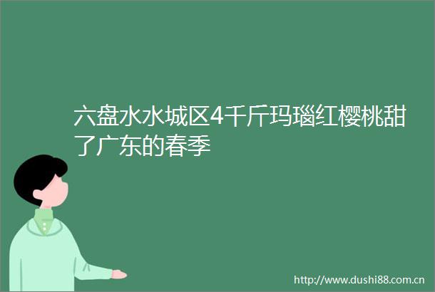 六盘水水城区4千斤玛瑙红樱桃甜了广东的春季