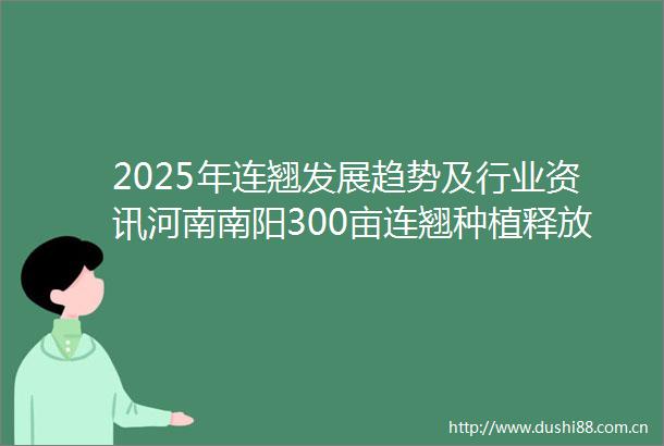 2025年连翘发展趋势及行业资讯河南南阳300亩连翘种植释放乡村振兴新动能