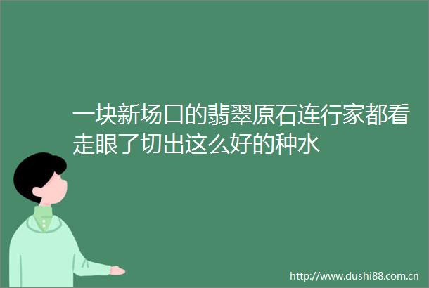 一块新场口的翡翠原石连行家都看走眼了切出这么好的种水