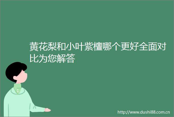 黄花梨和小叶紫檀哪个更好全面对比为您解答