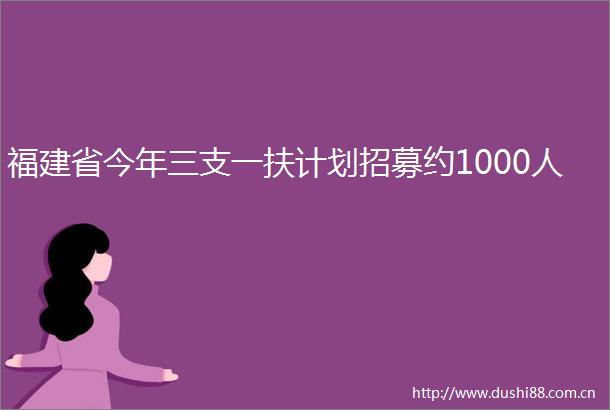 福建省今年三支一扶计划招募约1000人
