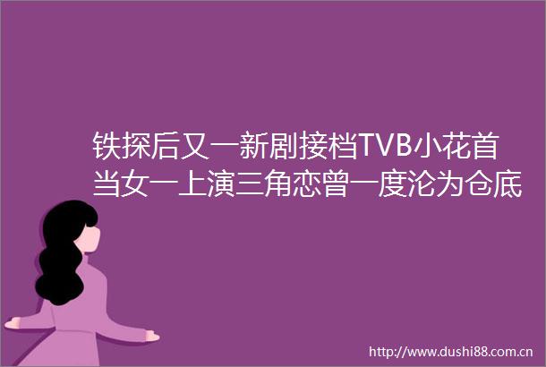 铁探后又一新剧接档TVB小花首当女一上演三角恋曾一度沦为仓底剧