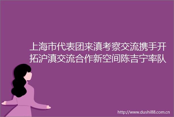 上海市代表团来滇考察交流携手开拓沪滇交流合作新空间陈吉宁率队考察王宁陪同