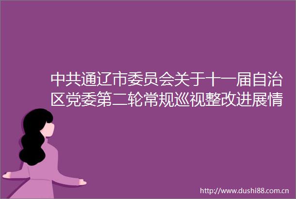 通辽市委员会关于十一届自治区党委第二轮常规巡视整改进展情况的通报