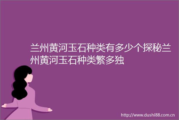 兰州黄河玉石种类有多少个探秘兰州黄河玉石种类繁多独