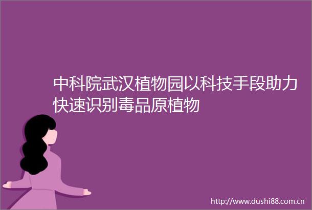 中科院武汉植物园以科技手段助力快速识别毒品原植物