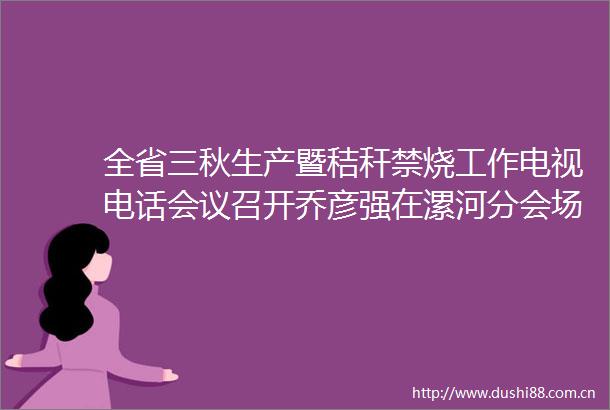 全省三秋生产暨秸秆禁烧工作电视电话会议召开乔彦强在漯河分会场收听收看