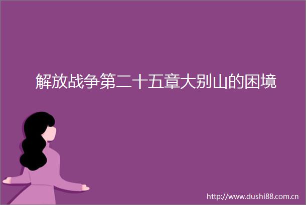 解放战争第二十五章大别山的困境