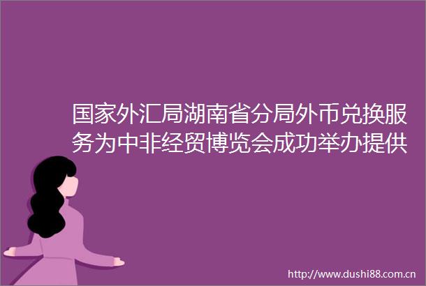 外汇局湖南省分局外币兑换服务为中非经贸博览会成功举办提供助力