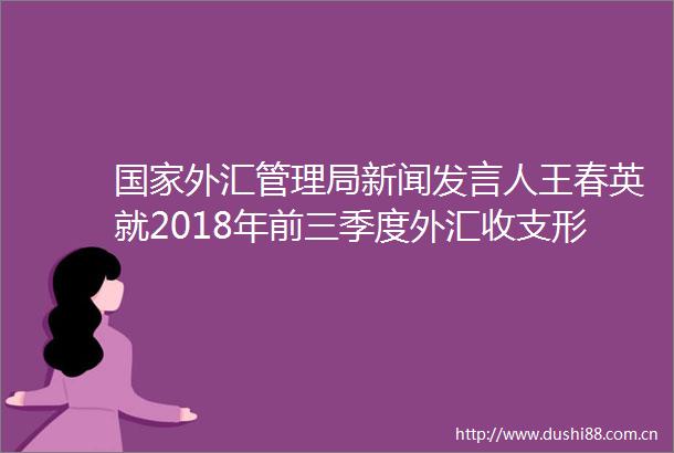 外汇管理局新闻发言人王春英就2018年前三季度外汇收支形势答记者问