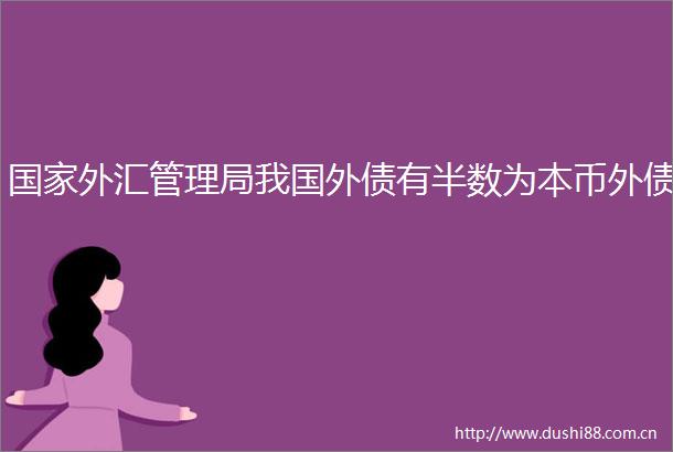 外汇管理局我国外债有半数为本币外债