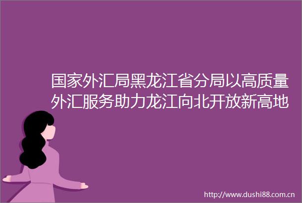 外汇局黑龙江省分局以高质量外汇服务助力龙江向北开放新高地建设