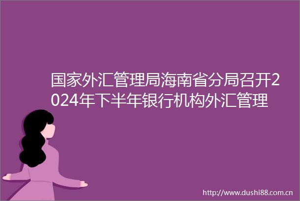 外汇管理局海南省分局召开2024年下半年银行机构外汇管理工作座谈会