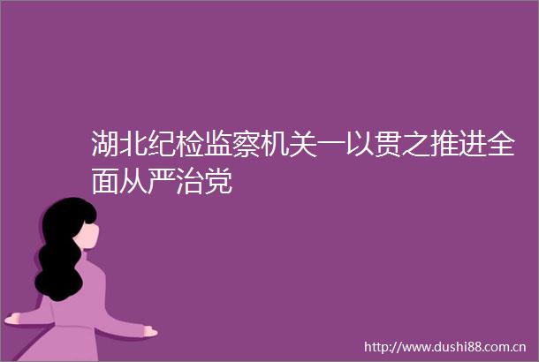 湖北纪检监察机关一以贯之推进全面从严治党