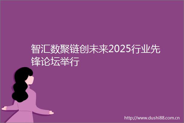 智汇数聚链创未来2025行业先锋论坛举行