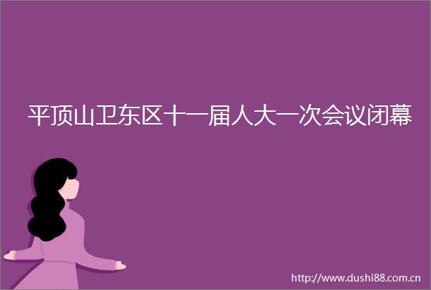 平顶山卫东区十一届人大一次会议闭幕