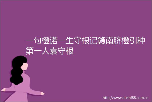 一句橙诺一生守根记赣南脐橙引种第一人袁守根