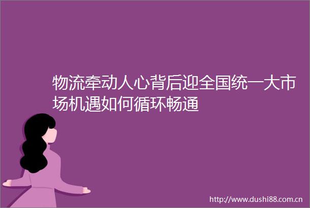 物流牵动人心背后迎全国统一大市场机遇如何循环畅通