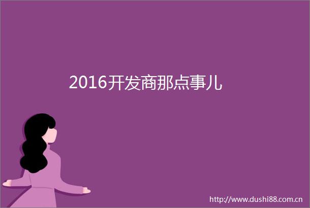 2016开发商那点事儿