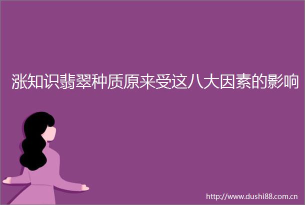 涨知识翡翠种质原来受这八大因素的影响