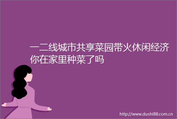 一二线城市共享菜园带火休闲经济你在家里种菜了吗