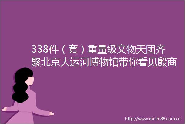 338件（套）重量级文物天团齐聚北京大运河博物馆带你看见殷商