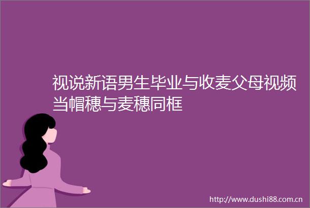 视说新语男生毕业与收麦父母视频当帽穗与麦穗同框