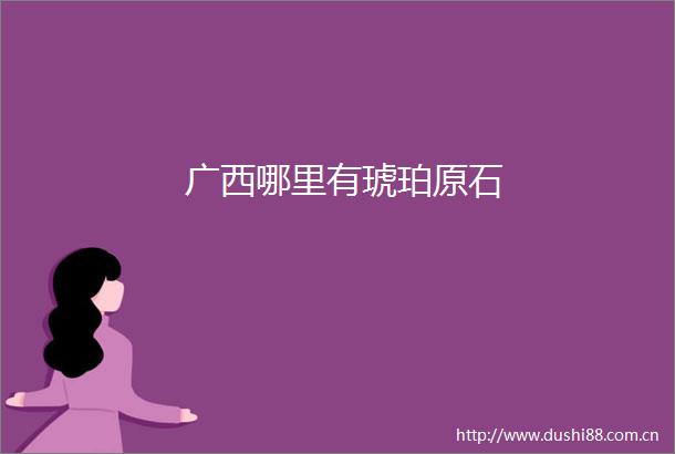 广西哪里有琥珀原石