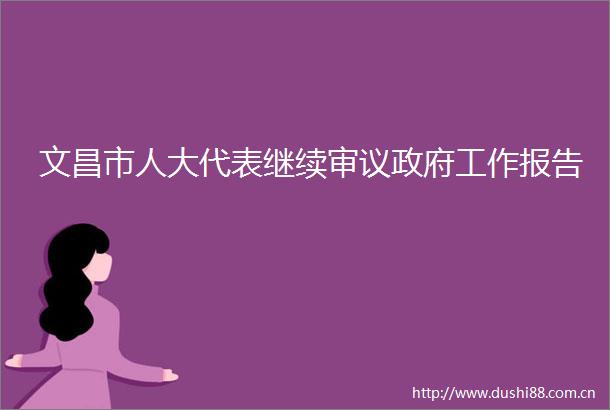 文昌市人大代表继续审议工作报告