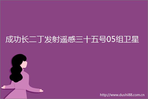 成功长二丁发射遥感三十五号05组卫星